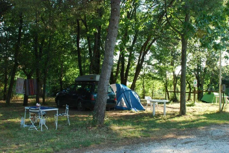 Torre Pendente Camping Village - image n°5 - Camping Direct