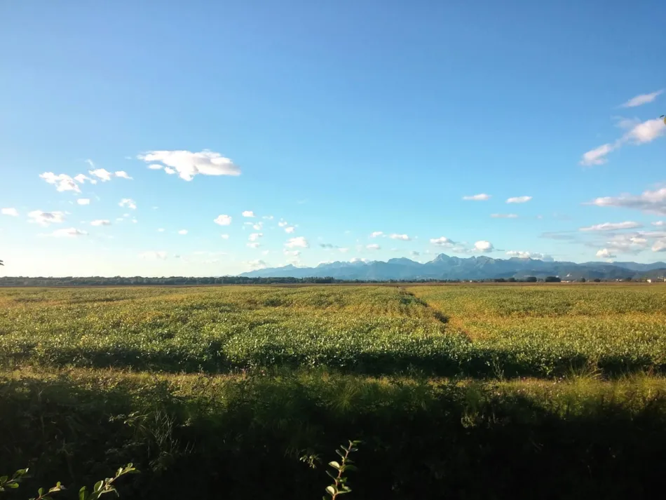 Torre Pendente Camping Village