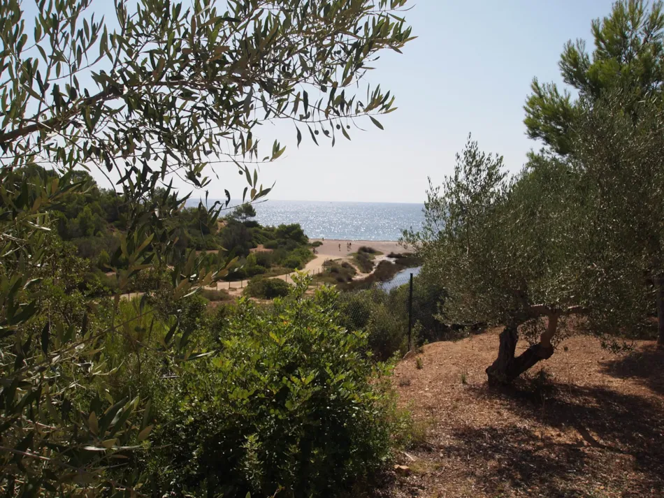 Camping L'Ametlla Village Platja