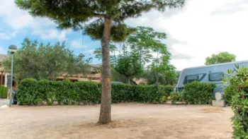 Stellplatz - Stellplatz Standard 70M² + Strom 6A - Camping L'Ametlla Village Platja