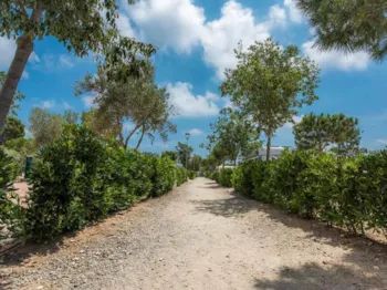 Stellplatz - Stellplatz  Confort 90M²  + Strom 10A - Camping L'Ametlla Village Platja