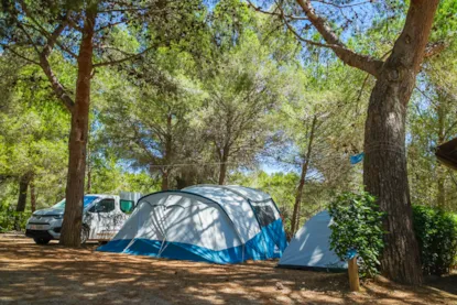 Parcela Standard 70M² + Electricidad 6A
