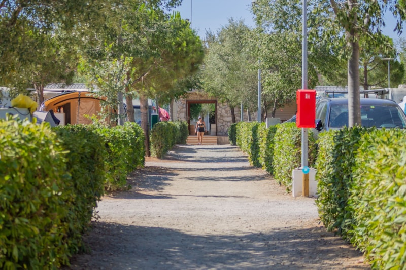 Emplacement Plus 90 - 100m² + eléctricité 16A + Raccordement eau et évacuation des eaux usées