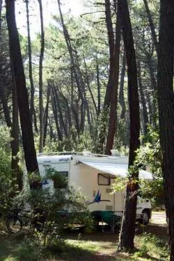 Emplacement Cat. 'B' 1500W Pour Caravane, Camping Car, Tente-Remorque