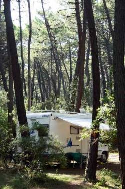 Basic Pitch Seaside B1 (for caravan, camper or tent trailer) — 2