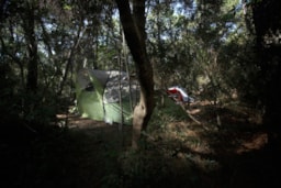 Pitch - Pitch Tent - PuntAla Camp & Resort