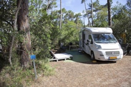 Stellplatz - Stellplatz Basic Seaside ( Für Wohnwägen, Camper, Zeltanhänger) - PuntAla Camp & Resort