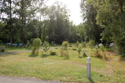 Eco camping pitch — 2