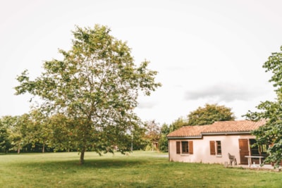 2-Bedroom House — 7