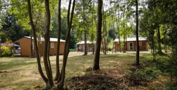 Mietunterkunft - Chalet Holz 27 M² - Moncontour Active Park - Terres de France
