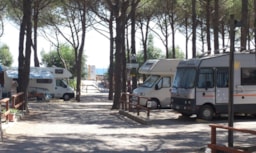 Parcela - Caravan/Camper Pitch - Villaggio Camping Lungomare