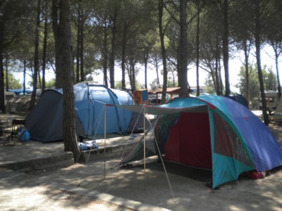 Tent pitch