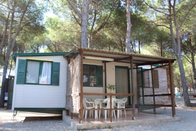 Large Mobile Home (4/5)
