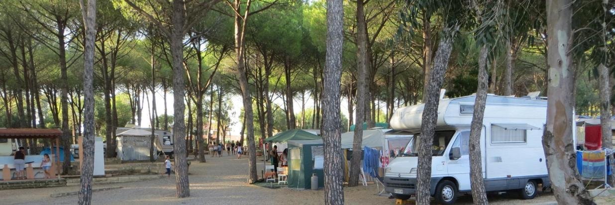 Villaggio Camping Lungomare — Photo 5