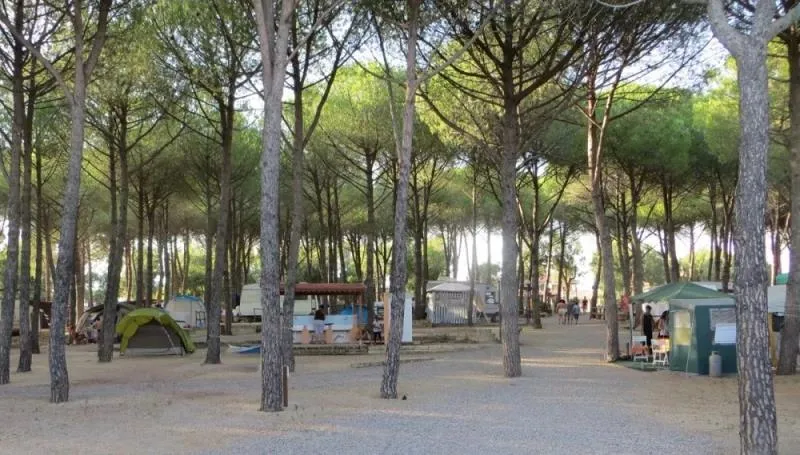 Emplacement Pour Caravane Et Camping Car