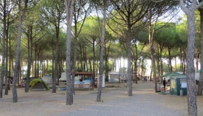 Caravan/Camper pitch
