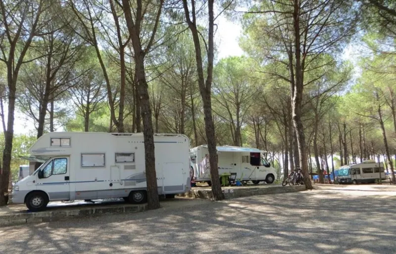 Emplacement Pour Caravane Et Camping Car