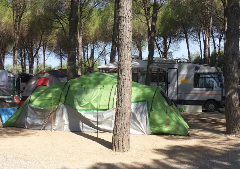 Emplacement Avec Tente