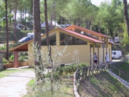 Services Toscana Holiday Village - Montopoli Val D'arno (Pi)