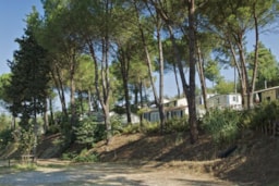 Toscana Holiday Village - image n°6 - Roulottes