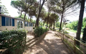 Mietunterkunft - Mobilheim Classic 3 Zimmer - Toscana Holiday Village