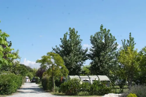 Stellplatz - Stellplatz Groß 100M² Fahrzeug - Zelt Oder Wohnwagen - Wohnmobil - image n°5 - Camping Le Soleil Fruité