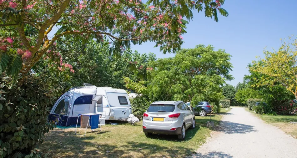 Camping Le Soleil Fruité
