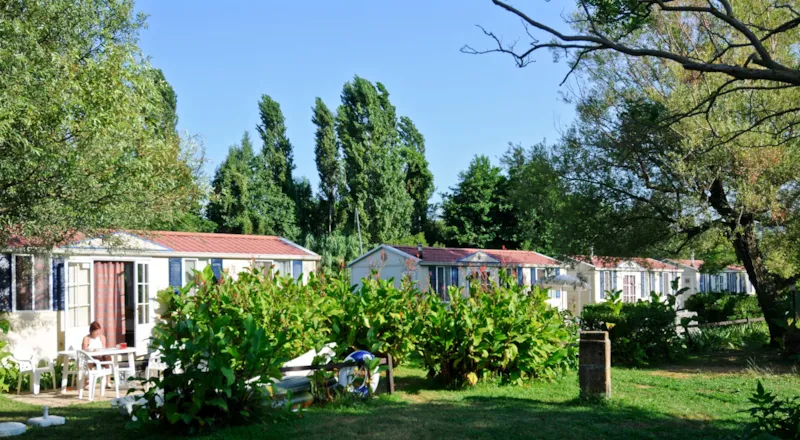 Mobil Home Relax Pet 24Mq