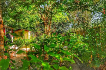 Mietunterkunft - Mobilheim Relax Pet 24Mq - INTERNATIONAL GLAMPING LAGO DI BRACCIANO