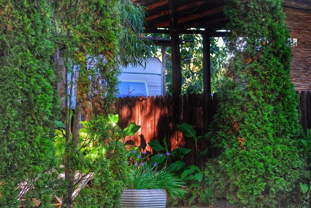 Location - Caravan Patio - Pet Friendly - INTERNATIONAL GLAMPING LAGO DI BRACCIANO