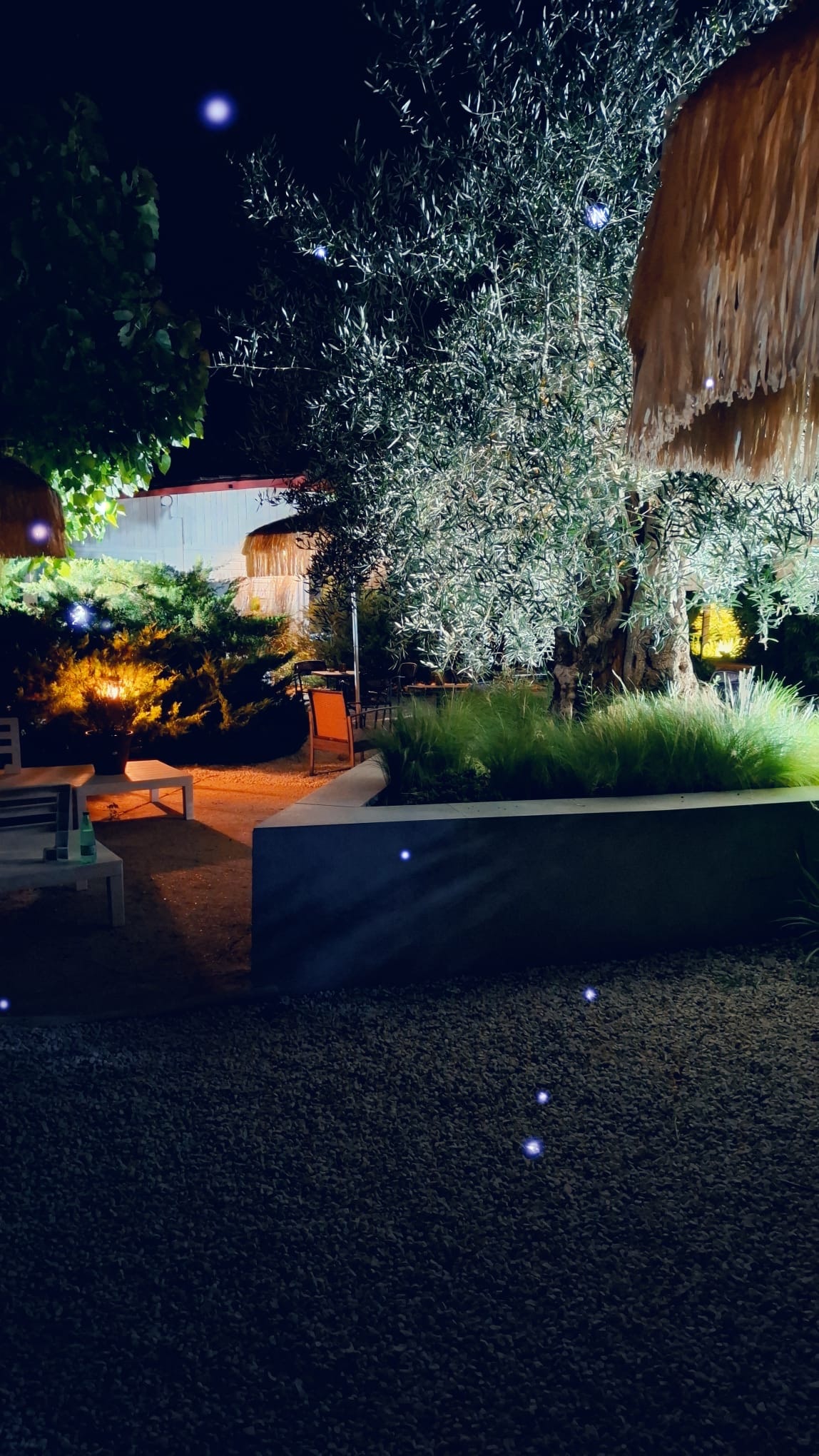 INTERNATIONAL GLAMPING LAGO DI BRACCIANO — Photo 9