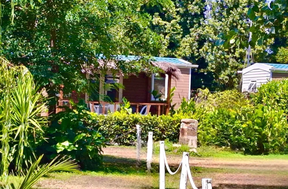 Location - Mobil Home -Vue Lac Premium - INTERNATIONAL GLAMPING LAGO DI BRACCIANO