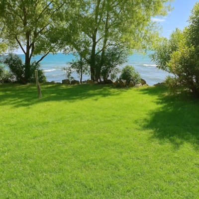 Pitch View Blue Lake view - tent — 7