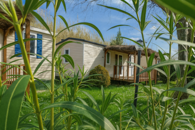 Mobilhome Blue — 2