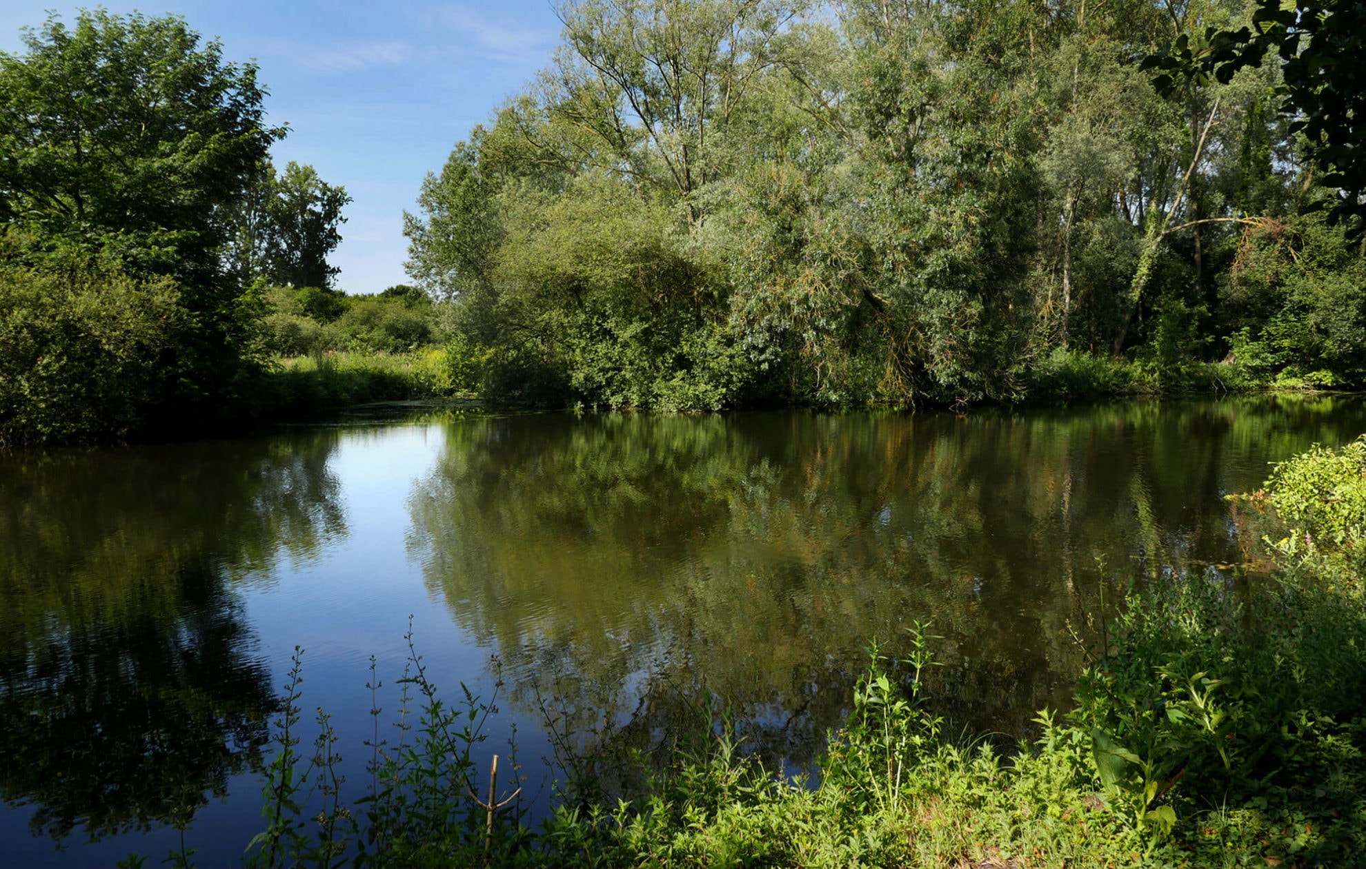 CAMPING DES CYGNES — Photo 1