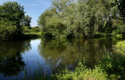 CAMPING DES CYGNES