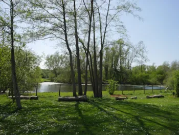 Stellplatz - Pauschale Wanderer  Nature - CAMPING DES CYGNES