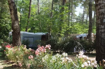 Stellplatz - Wohnwagenstellplatz > 100 M² Mit Stromanschluss - Camping Paradis Le Ruou