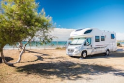 Pitch - Premium Pitch - Camping Las Palmeras