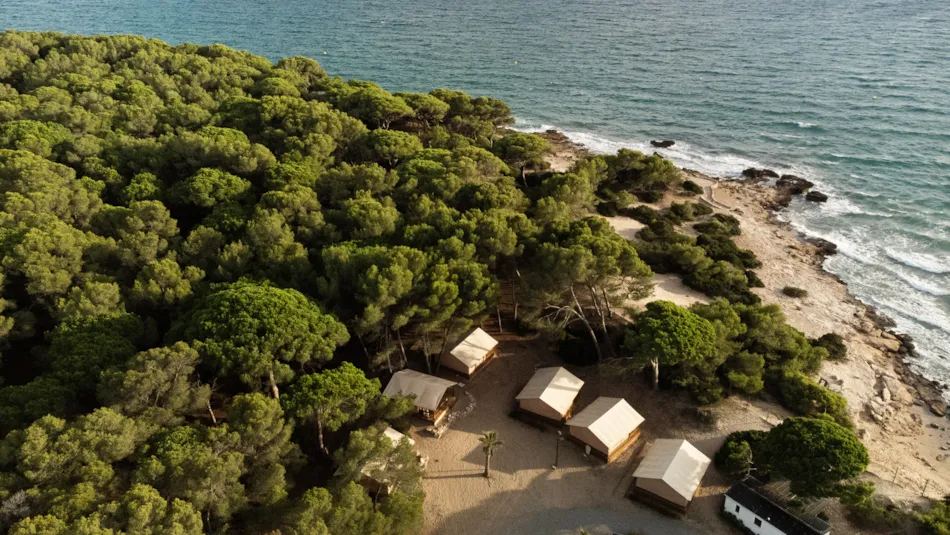 Camping Las Palmeras