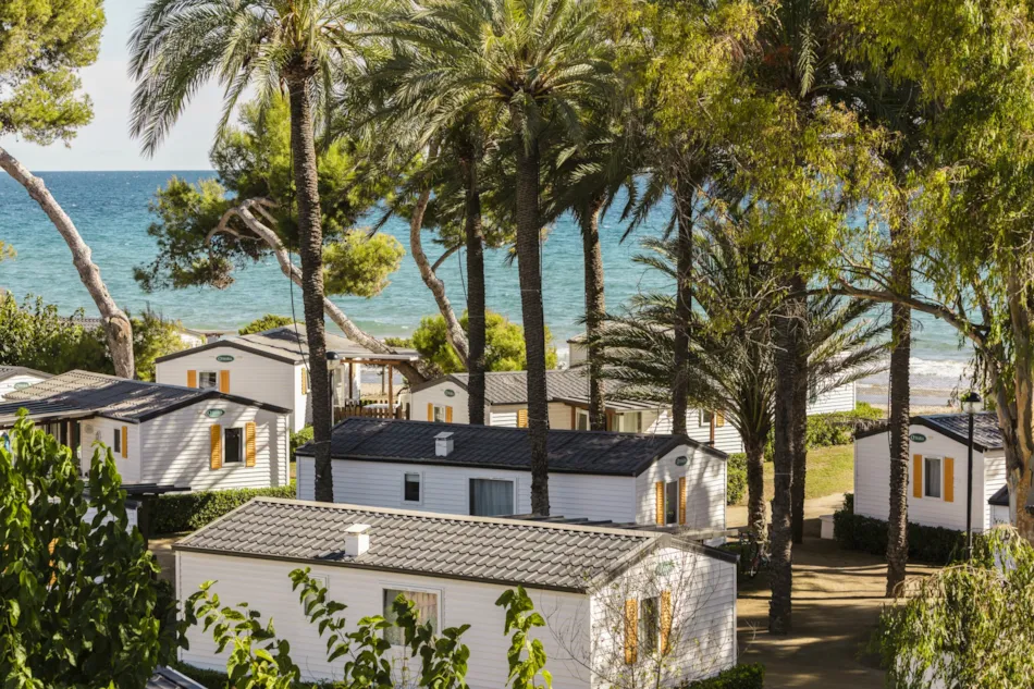 Camping Las Palmeras