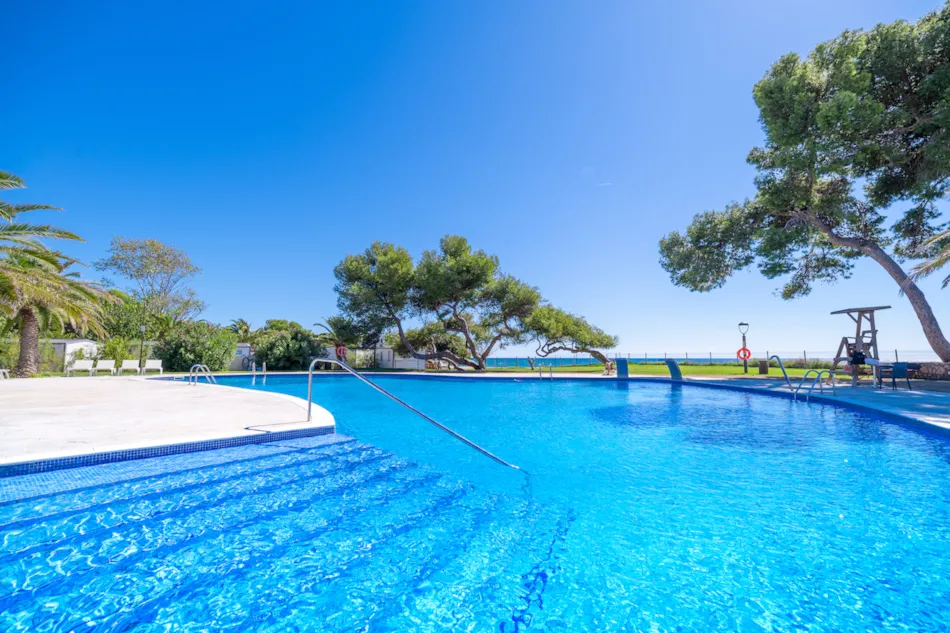 Camping Las Palmeras