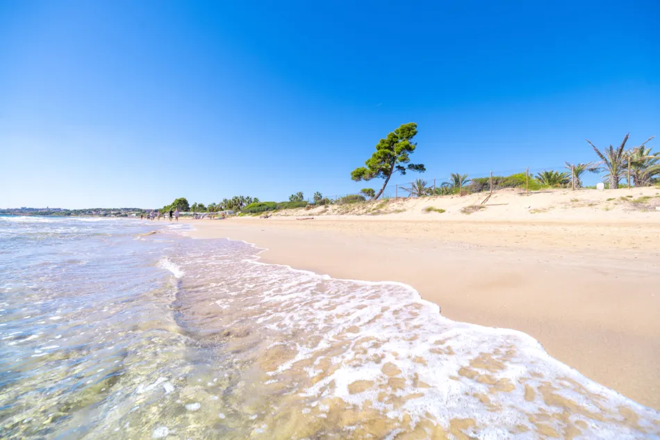 Camping Las Palmeras