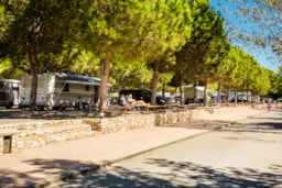 Kampeerplaats(en) - Standplaats Standard Plus - Camping Las Palmeras