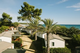 Alloggio - Bungalow Beach Cangrejo - Camping Las Palmeras