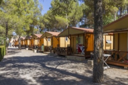 Camping Altomira - image n°2 - Roulottes