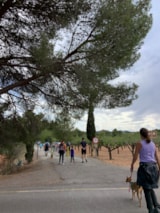 Foto #36 van Camping Altomira