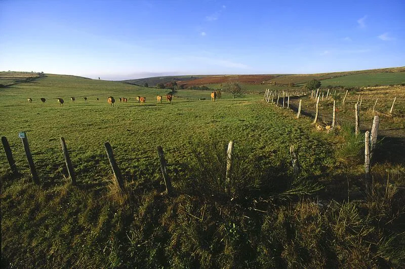 Camping Qualité le Val de Saures