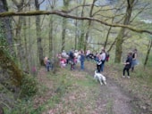 Camping Qualité le Val de Saures