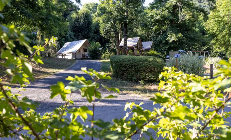 Tente Lodge Amazone 22M² Sans Sanitaires Sur Pilotis